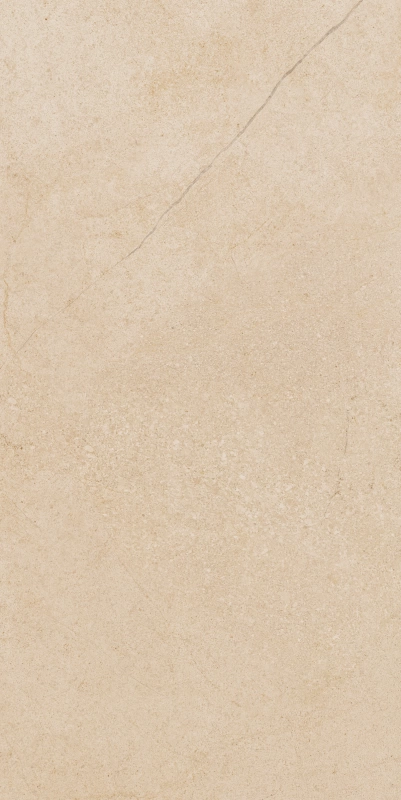 Флэйр Патинированный 60x120 см