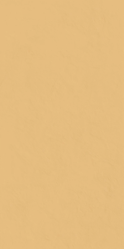Сан Патинированный 60x120 см