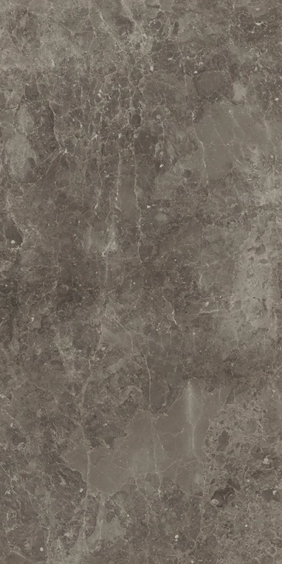 Грэй Стоун Патинированный 60x120 cm